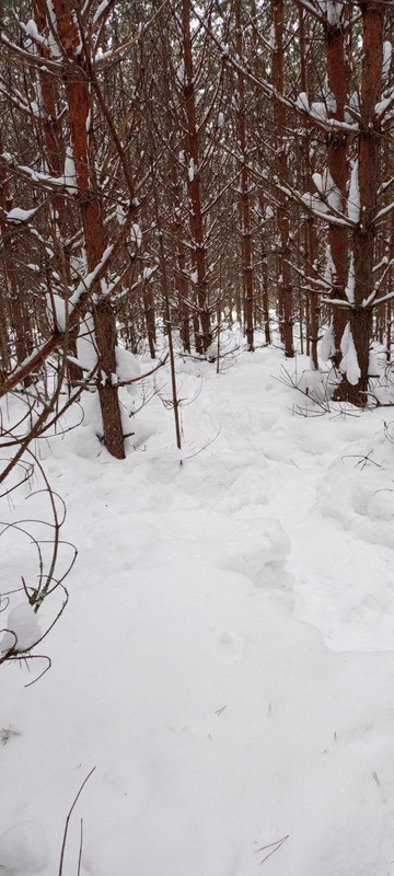 IMG 20260308 134205 182