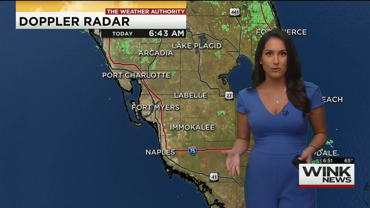 11.28 - 11.00.00 - WINK News This Morning..ts_snapshot_52.35.281