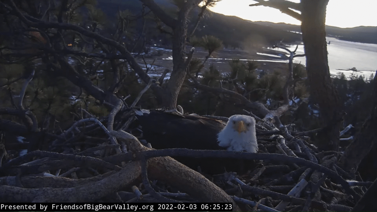 Webp.net-gifmaker (1)