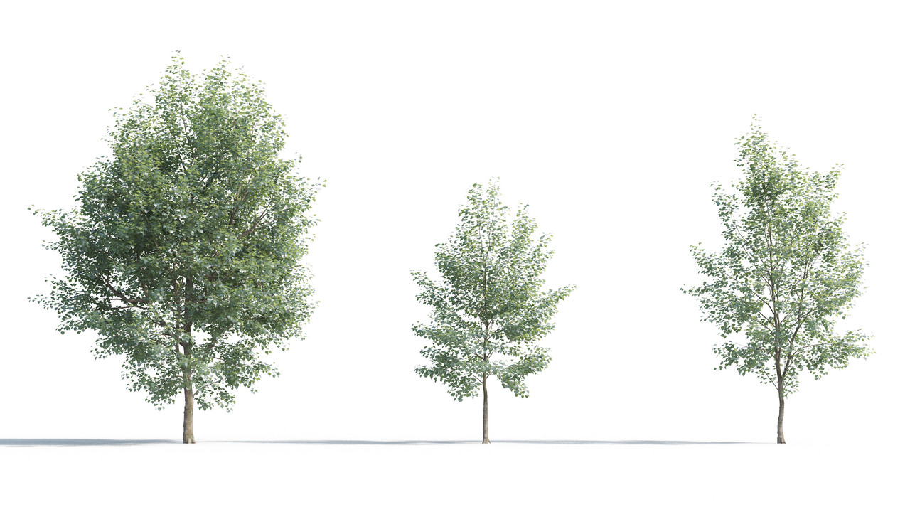 TV-cay_3dsmax_tailieukientruc (13)