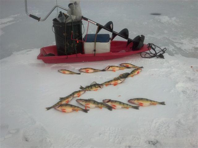zperch