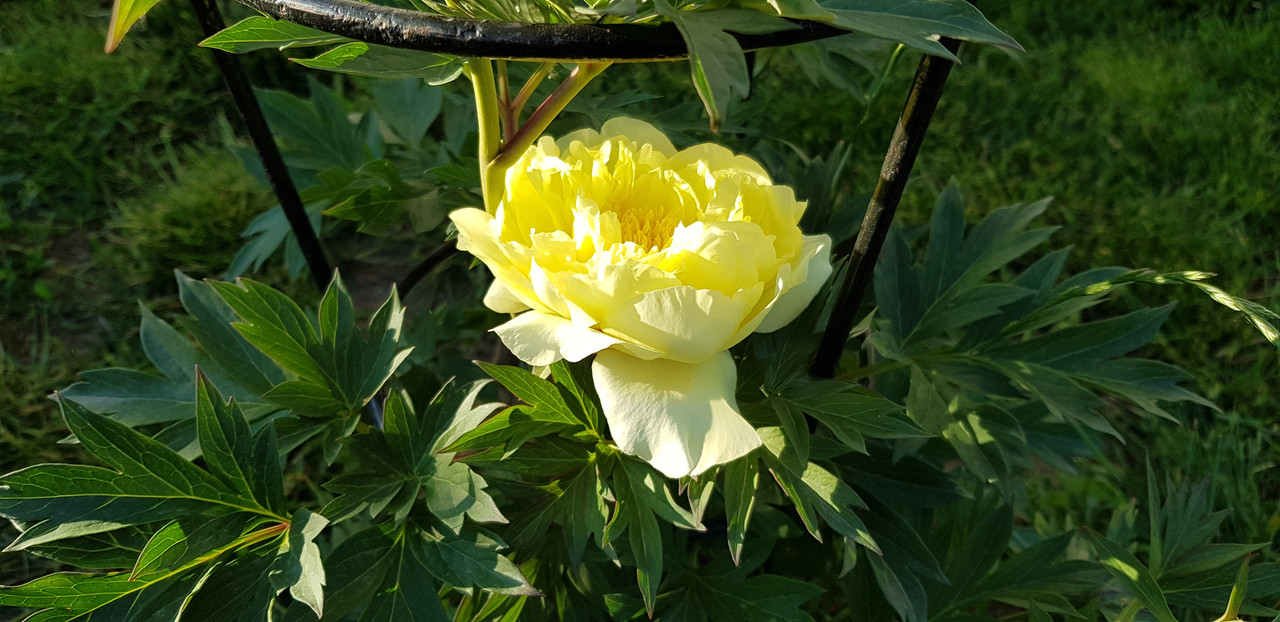 20190511_191733