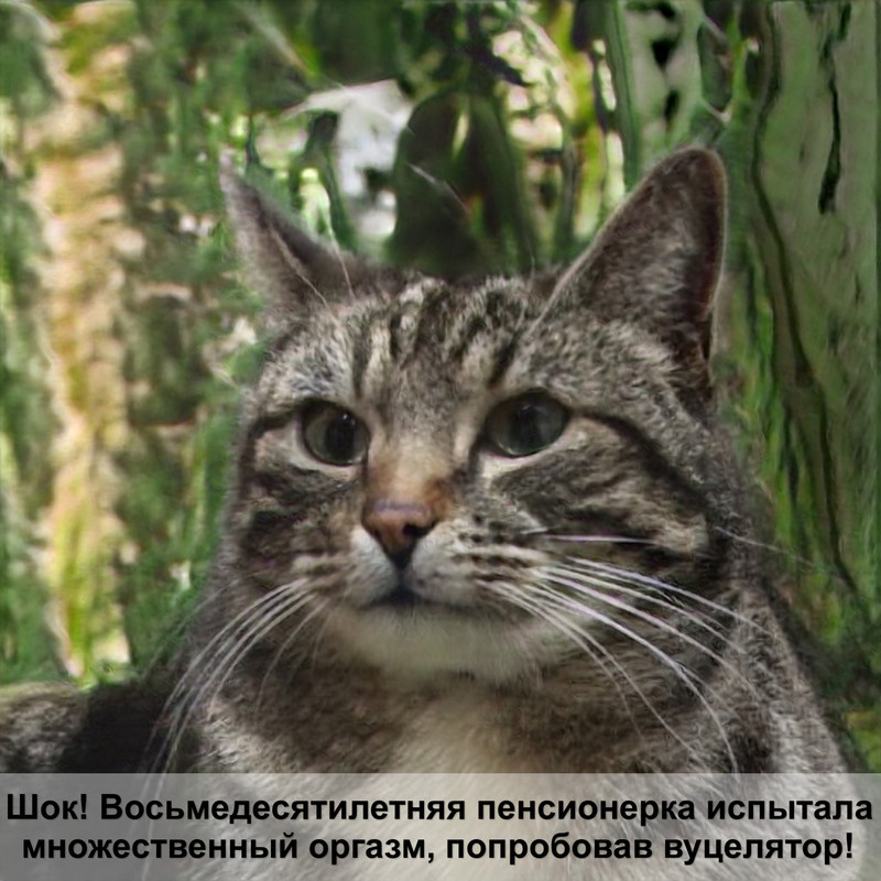 кличка кошки бежевого окраса