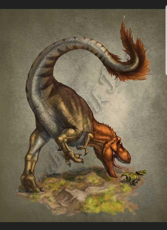 1699258915_pofoto-club-p-chzhuchentirannus-33