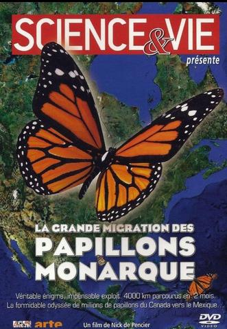 The-Incredible-Journey-of-the-Butterflies.jpg