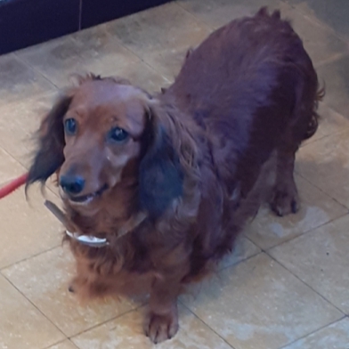 [Image: 20201231-135156.jpg]