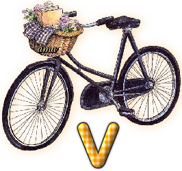Bici Porta Flores  V