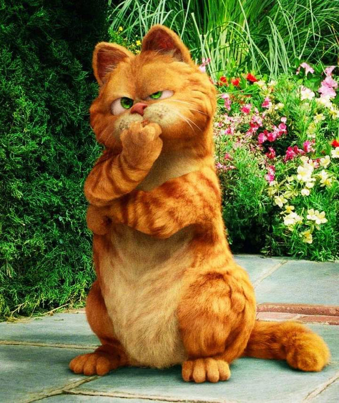 Garfield