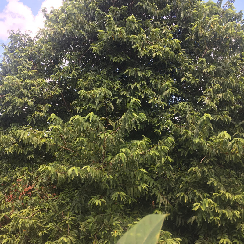 D96D6FE1-74C3-4DC8-967B-ACC10516180D