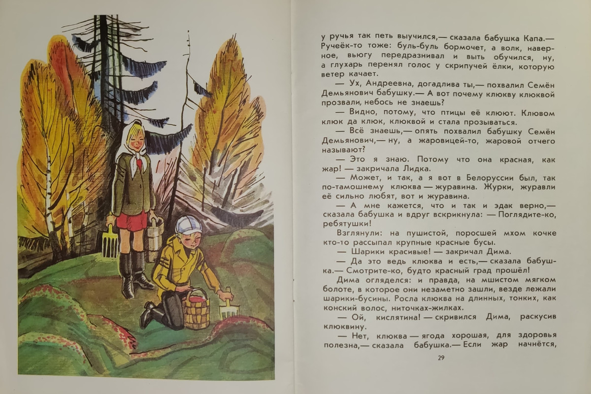 Sitnikov-Vladimir-Klukva-zharovica-page-0015