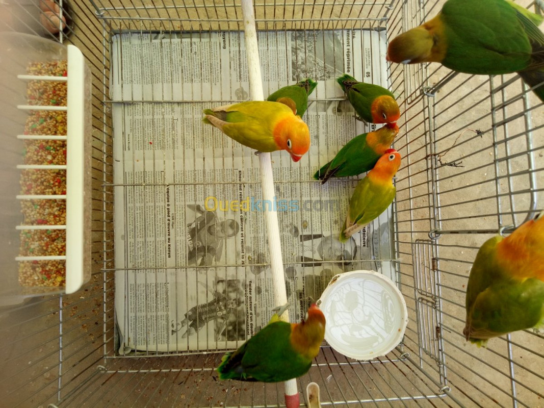 Photo1