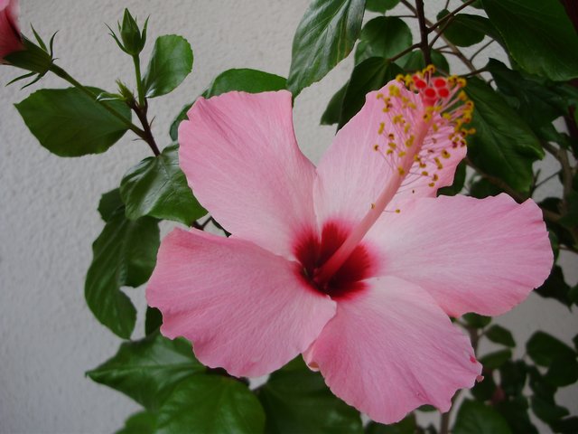 P9190296