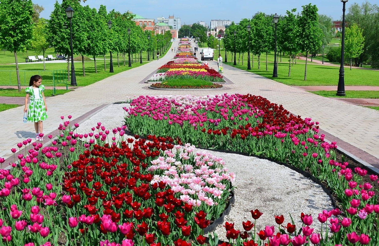 парк царицыно1а