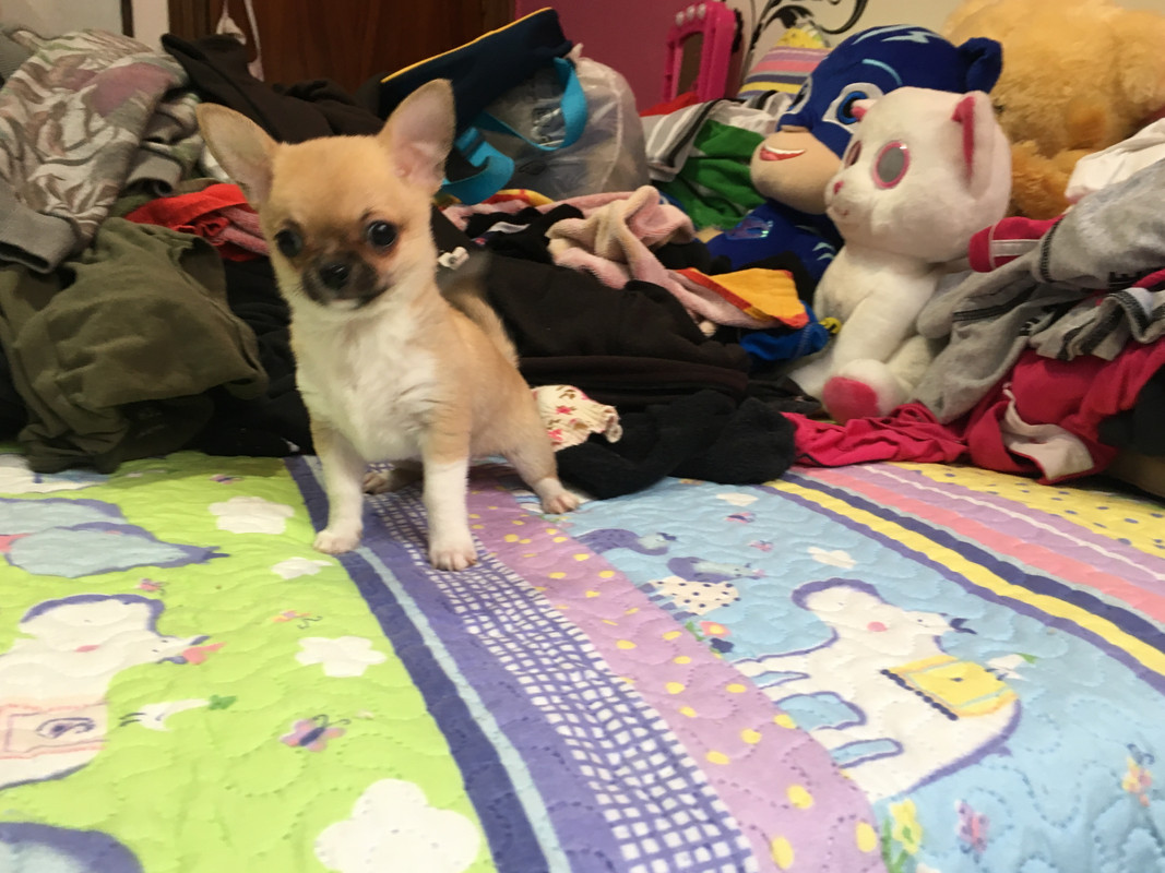 DF1DA882-1E82-40E9-85AC-FBE37679D239