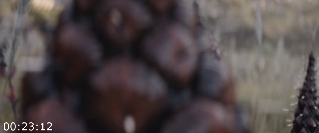 [Kép: Predator-Badlands-2025-720p-Blu-Ray-x264-AAC.png]