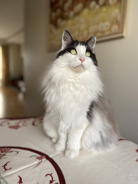 70-A7-EFFF-BB73-4386-A8-ED-874-A1-E5-EFB