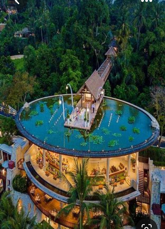 Screenshot_20230514_160043_Pinterest