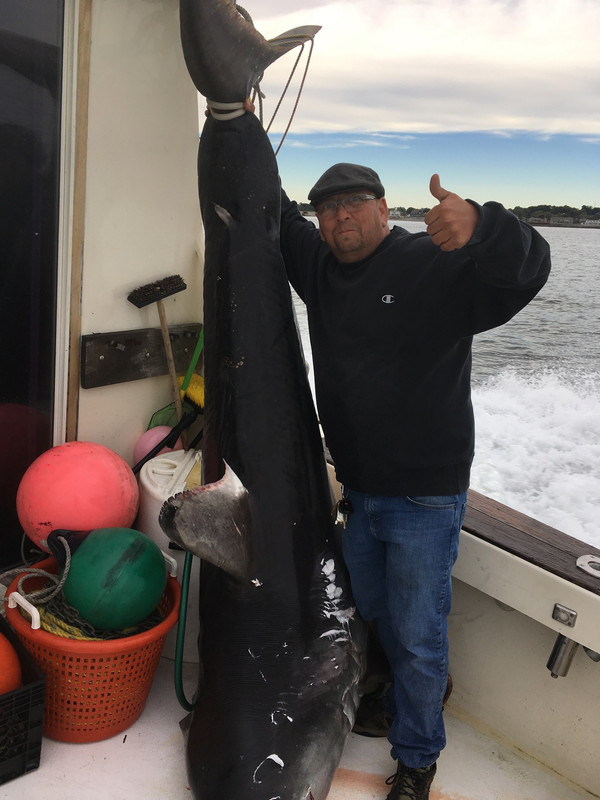 C796D973-387E-4BB8-A714-8BE87F559356