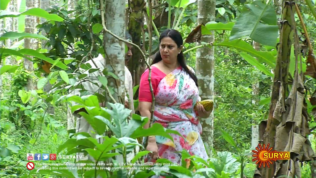 Geetha Huge Boobs in Saree.m4v_snapshot_03.23.960