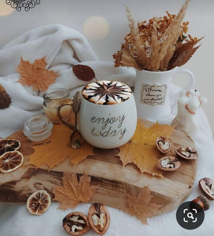 Screenshot_20230830_230427_Pinterest