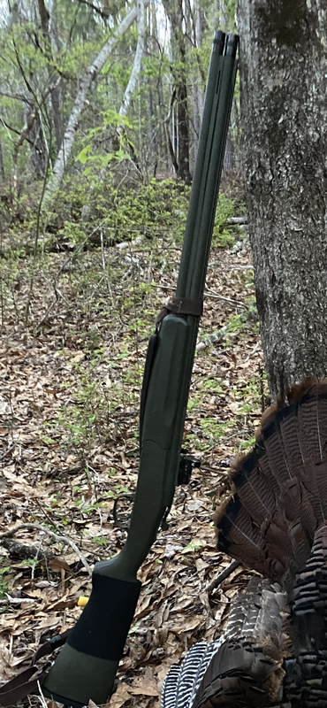 96B51E1D-2500-4DBB-B1C9-BCF0D52AB35D