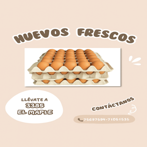 Anuncio emprendimiento