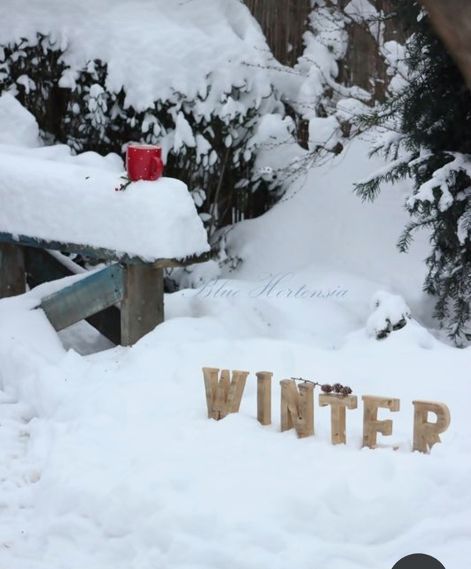 Screenshot_20231223_230924_Pinterest