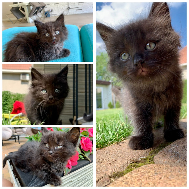 11ECCD15-64A9-4D73-A5B5-4BE927288A39