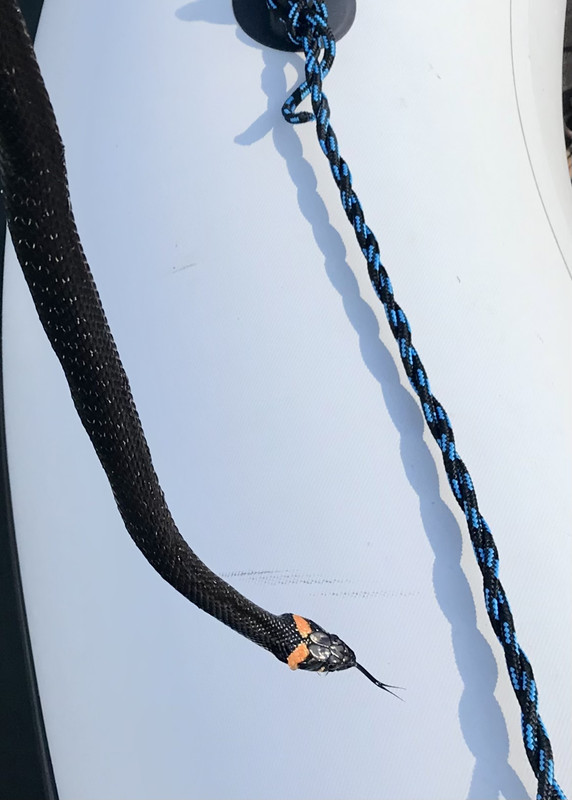 17E7138A-45D1-49E8-8456-86B18D5B5DC2