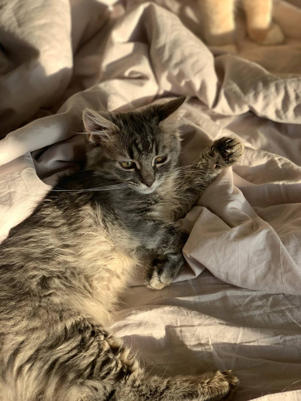 84D12DE5-E4B3-4448-B092-4AA030B22BB9