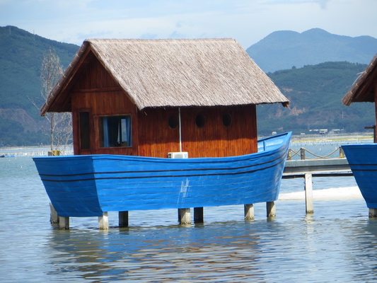 [Image: IMG-6360.jpg]