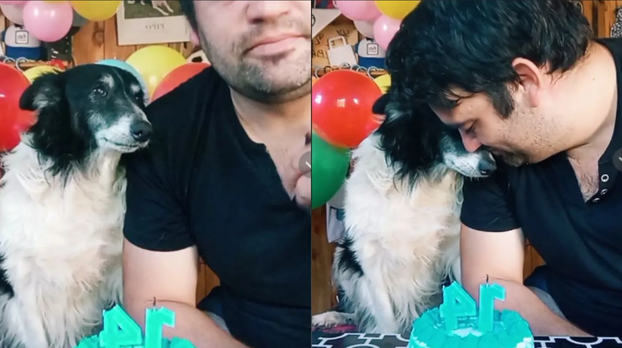 Celebran de manera especial a perrito argentino por San Valentín