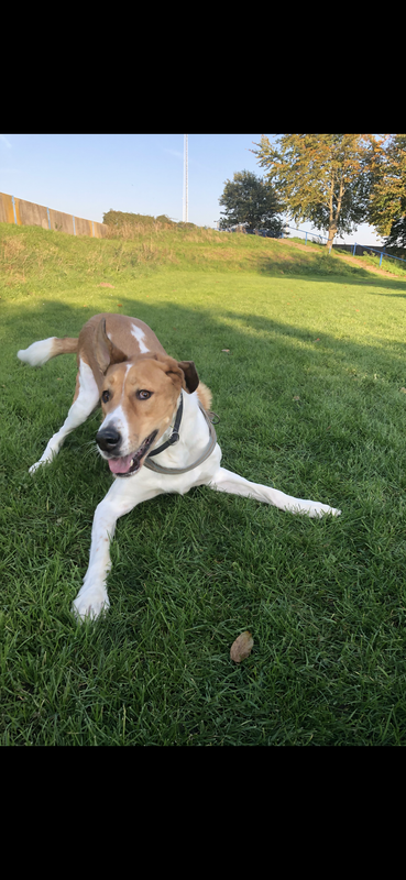 F7C7F0D4-9CCF-4830-B4C8-1D1FCFF7D958