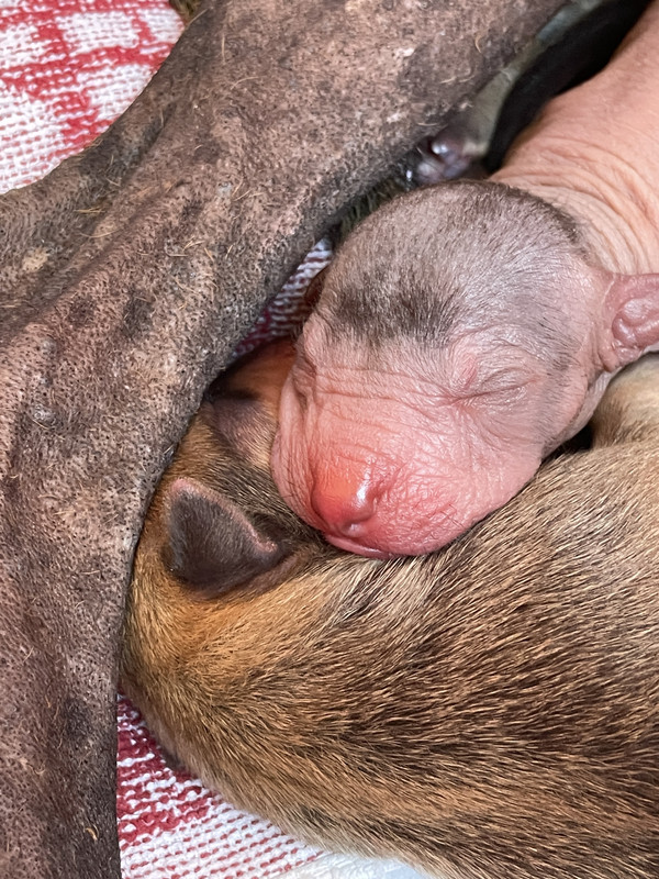 E97B8225-79AA-468B-ACD3-1D8DD14E23BD