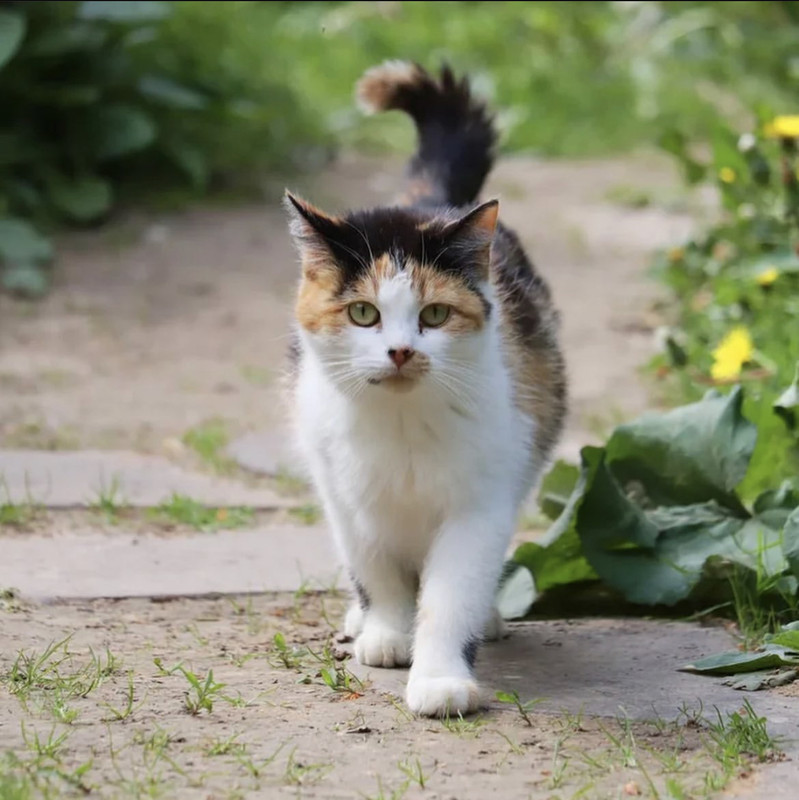 4783920B-992D-4230-A0F5-DB8CCEBD7251