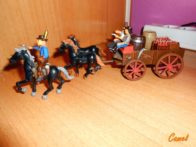 DSCN8245