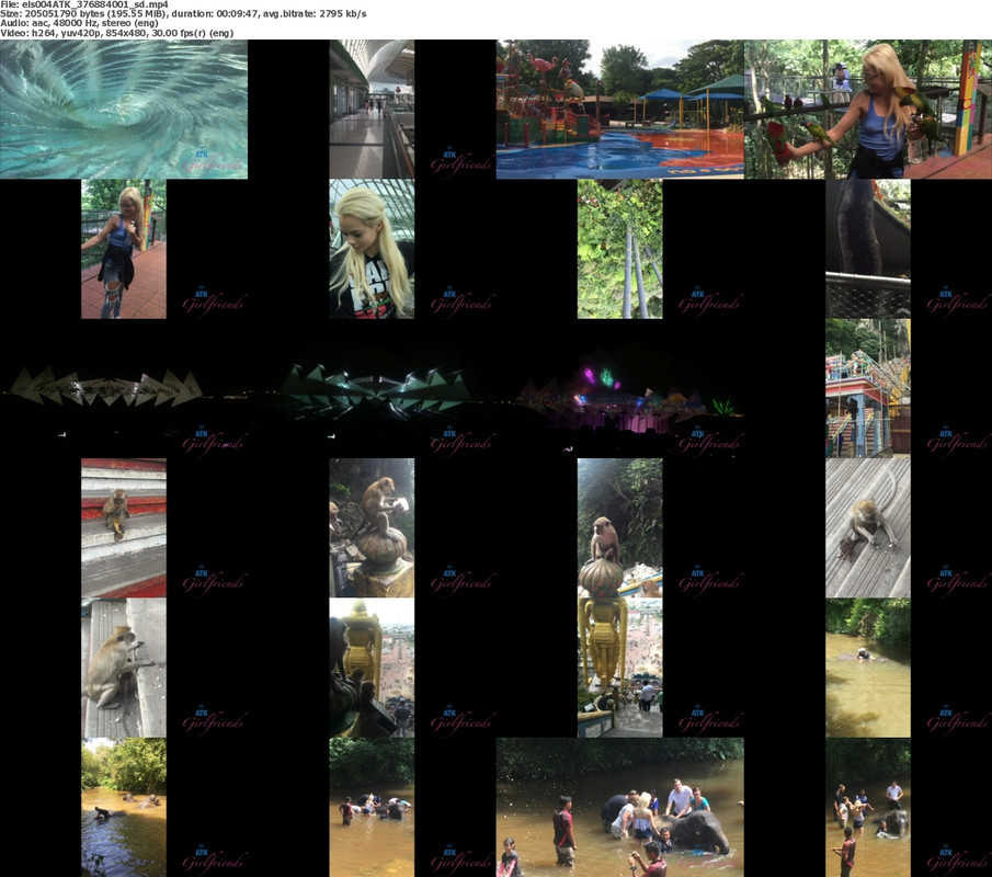 04092024082442screenshot