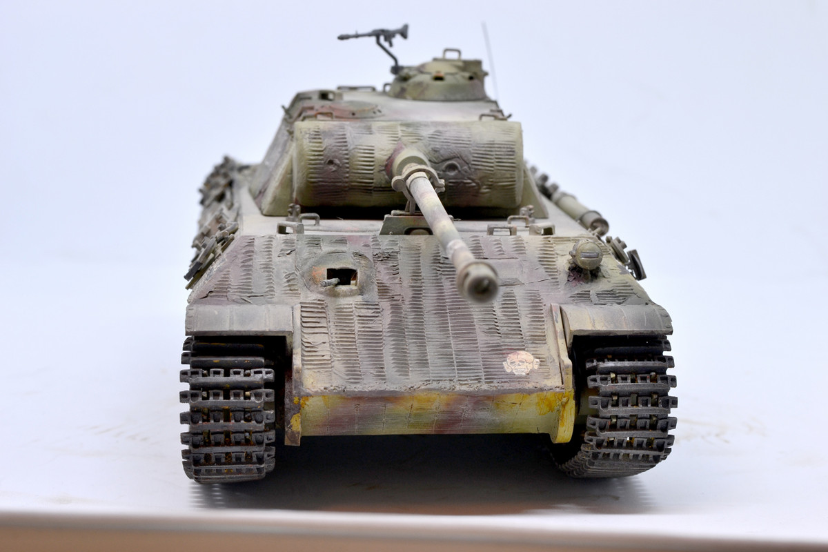 Panther-A-04.jpg