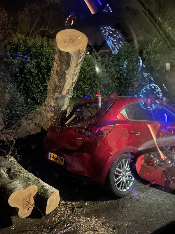 EF9B0917-8C82-4E21-8AC9-A8366813751A