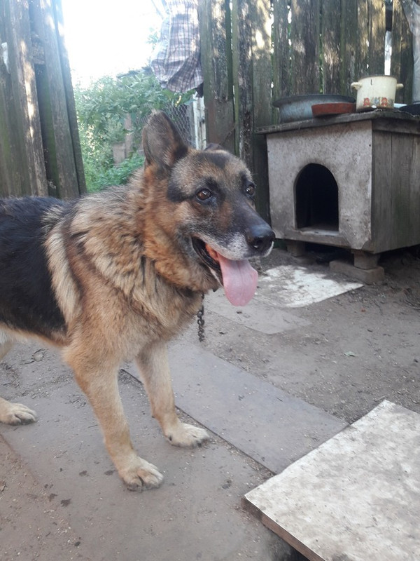 8292D878-D61F-40C6-8D2A-6B29CC6777C0