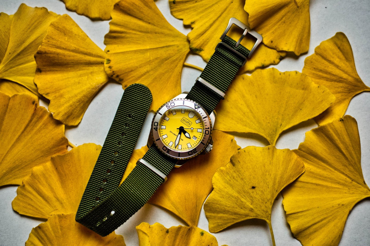 SCURFA - Diver One - Page 2 D3-S2879-1