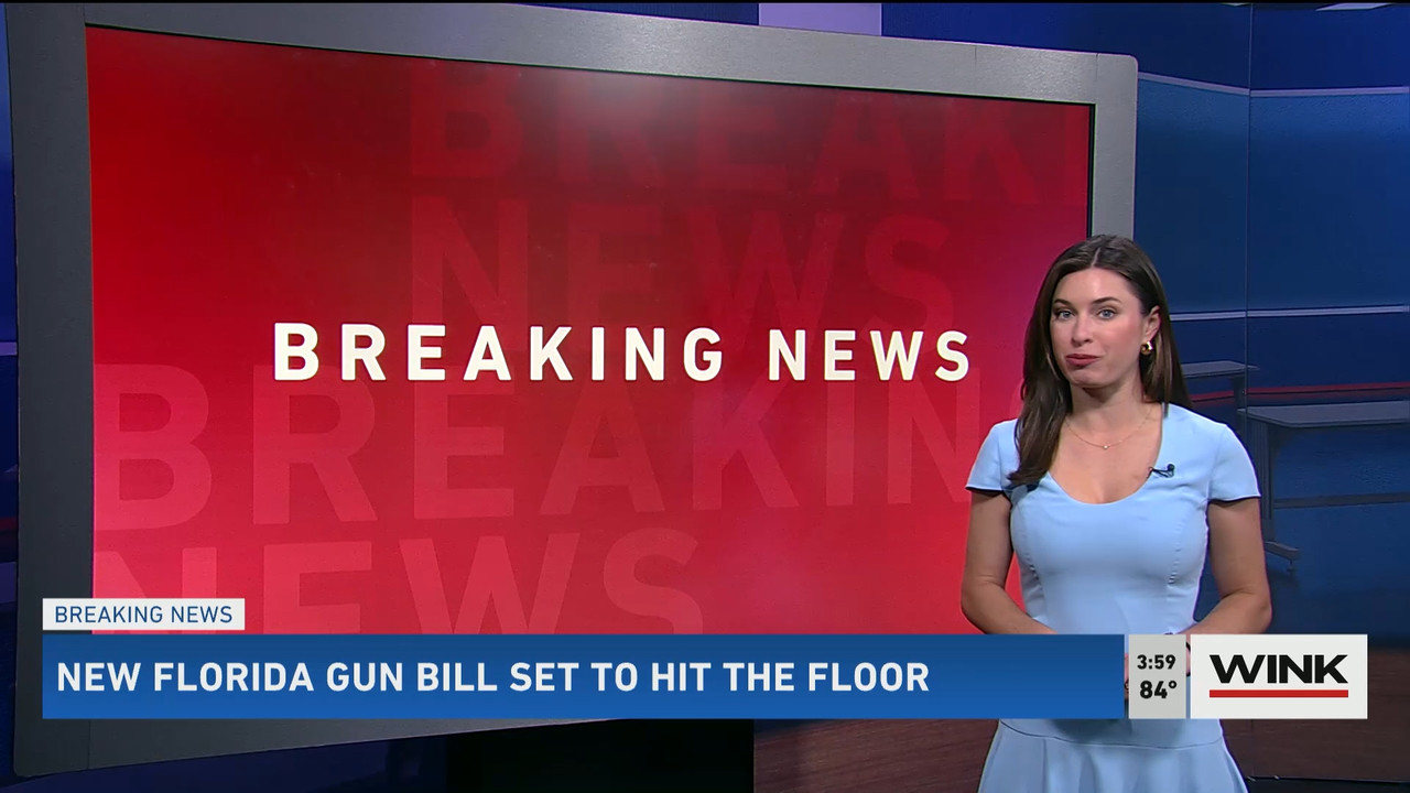 01.31 - 20.00.00 - WINK News at 3pm  ᴺᵉʷ..ts_snapshot_01.06.03.981