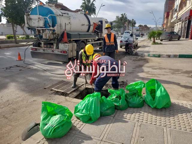 606613088-796933320042204-6782054331766002270-n