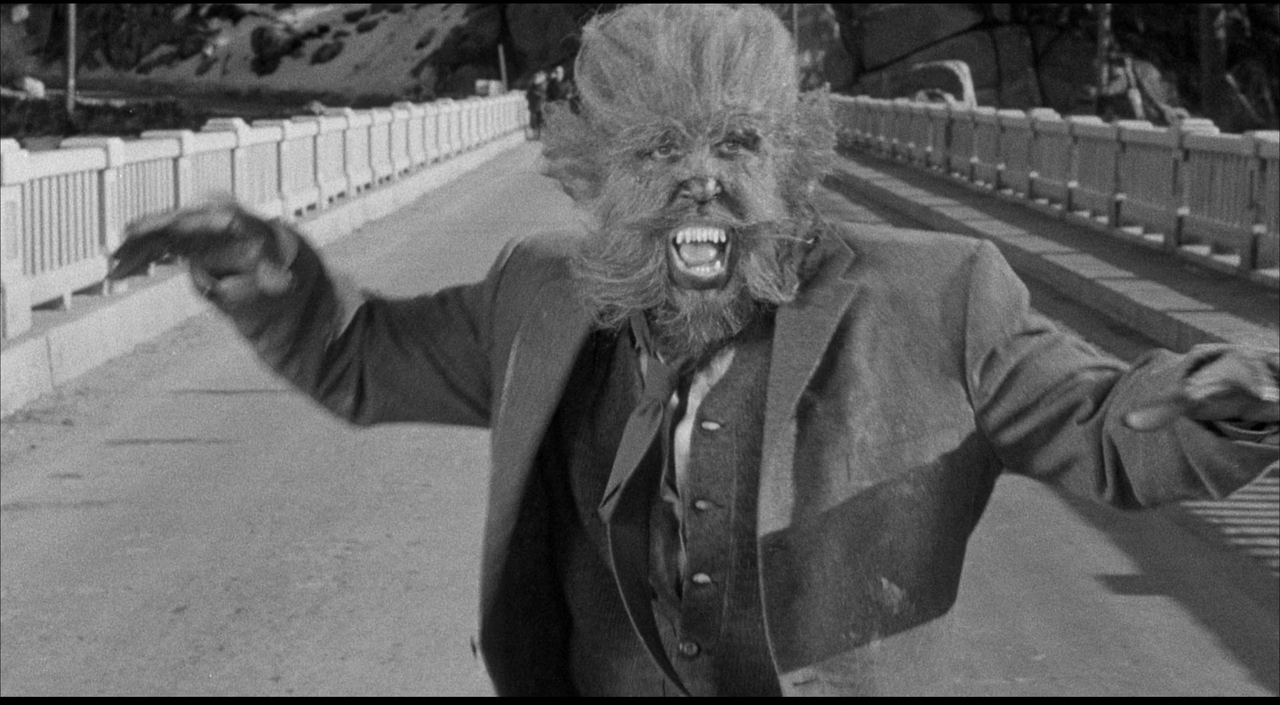 THE WEREWOLF REFERENCE (9)