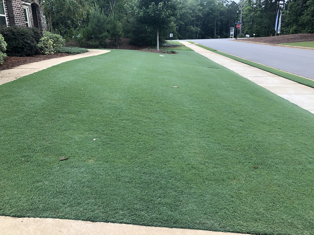 C7E547E4-BD05-43F4-9AD0-61BED7E5FB78