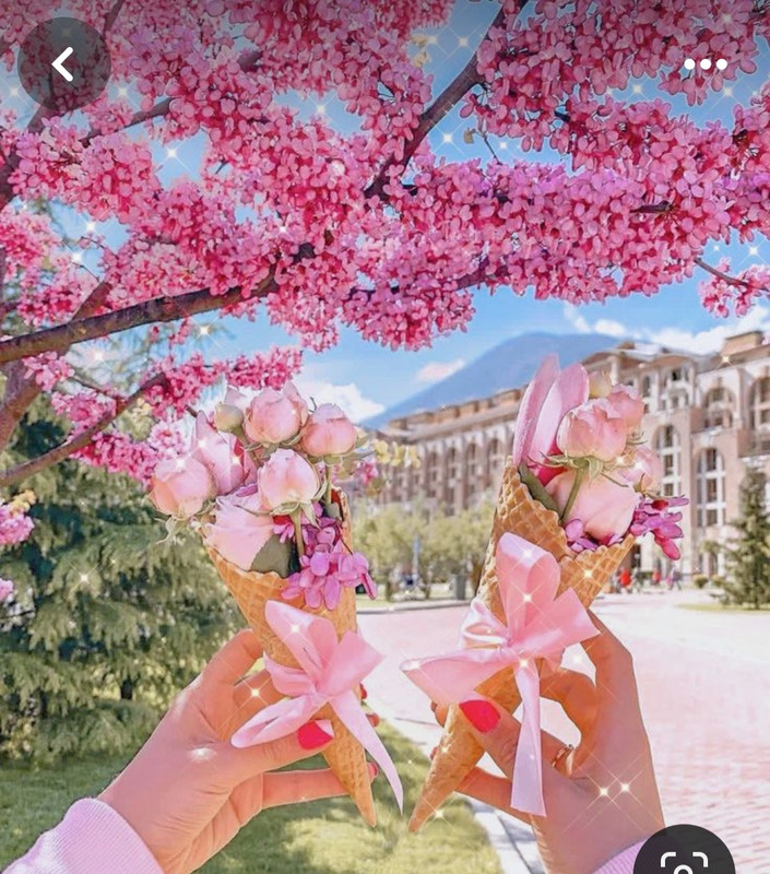 Screenshot_20240331_203935_Pinterest