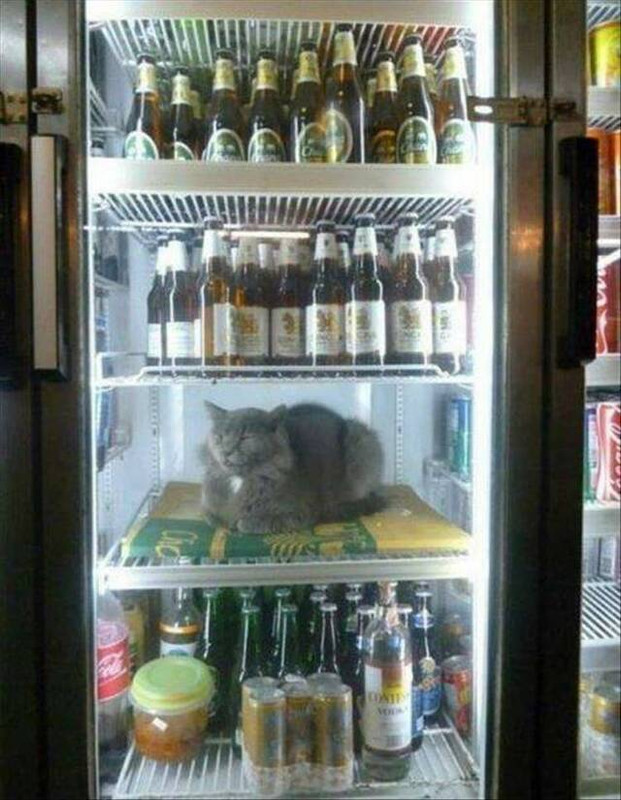 picdump-kw40-2025-011.jpg