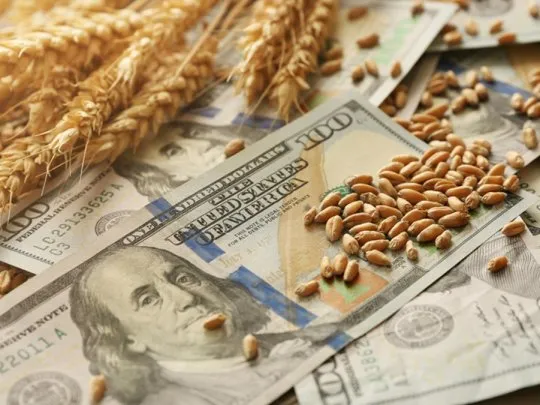 La liquidación de dólares del agro creció 8% interanual y alcanzó los US$2.032 millones en marzo
