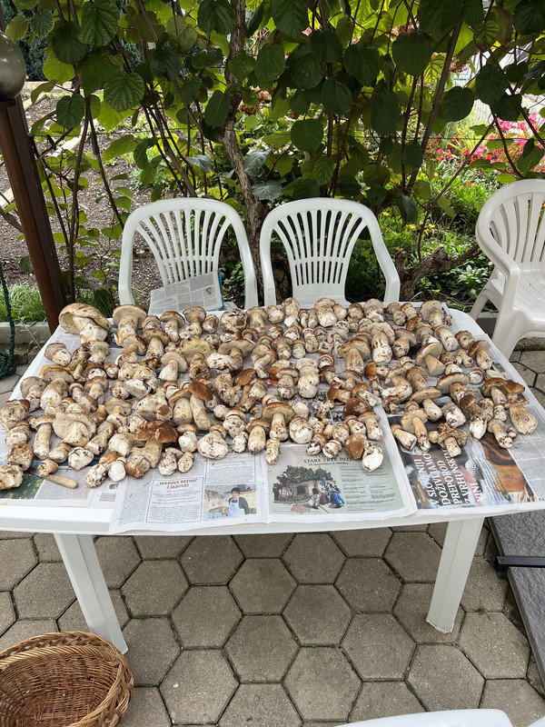 4CD13C8E-C8FF-434E-862C-95D88282F97B