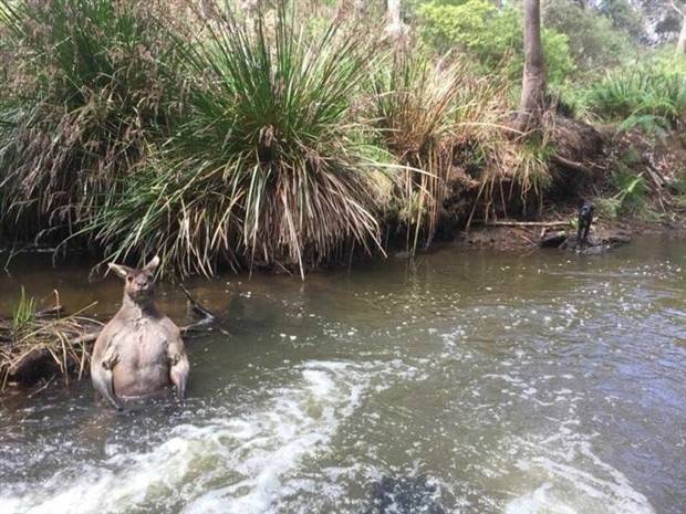 klyker-picdump-2-16-2023-13.jpg